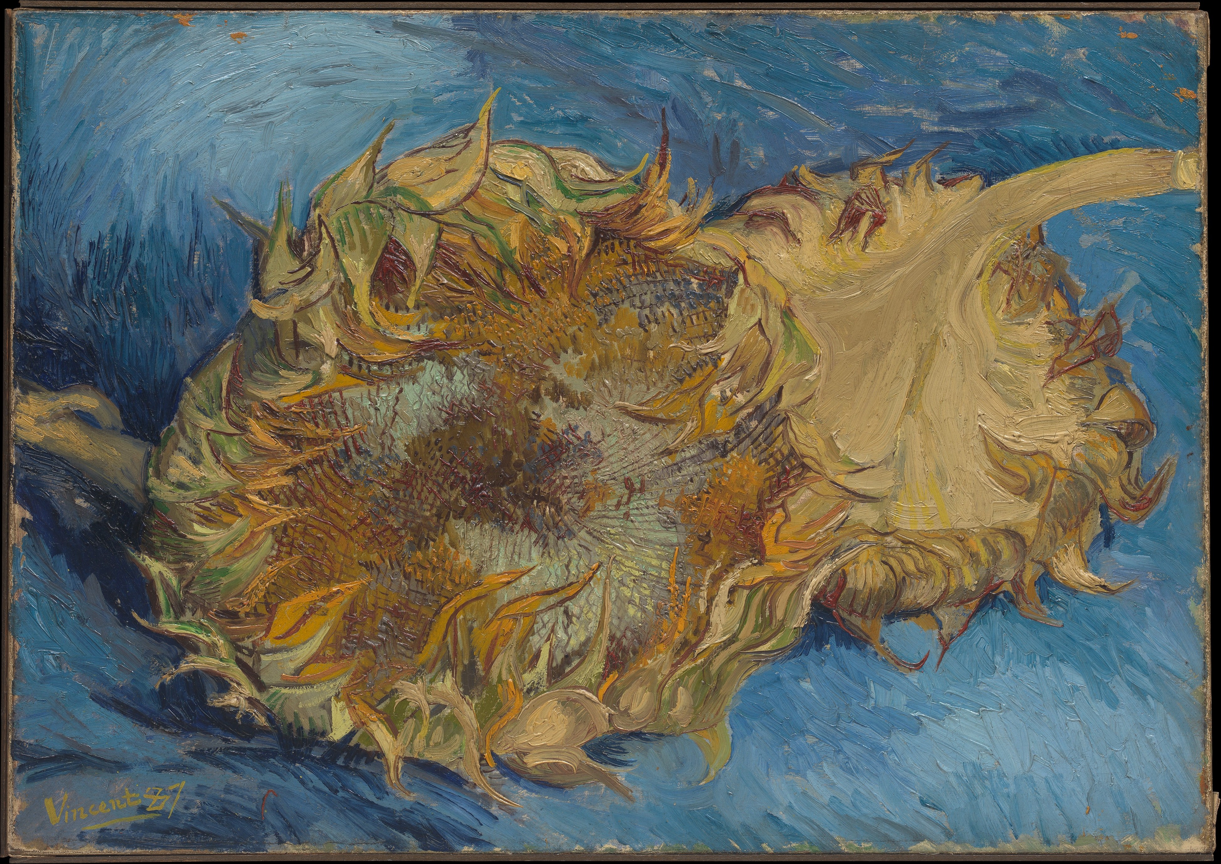Red Earth, Blue Sky by Elena Vasquez (2022)